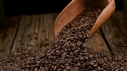 Die richtige Lagerung von Kaffeebohnen: Tipps für Frische und Aroma